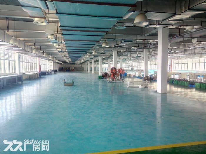 西部大道1500平的框架结构厂房可以分割出租-图3
