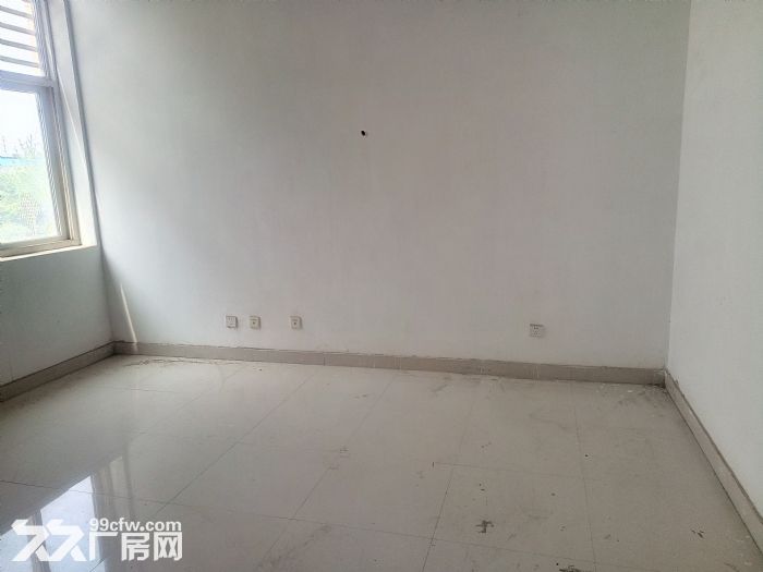 西部大道1500平的框架结构厂房可以分割出租-图4
