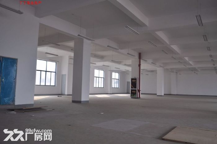 出租高新区高新周边1800平简装修1层和2层-图2