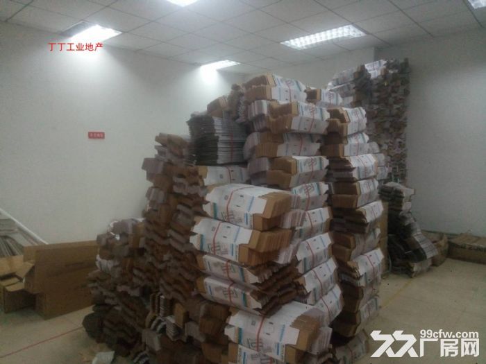 科技路东口办公/厂房 260平300平740平米-图3