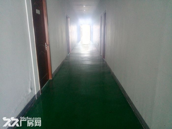 高新西部大道标准厂房1层1600平钢结构，还有3层框架结构的厂房每层1100平-图1