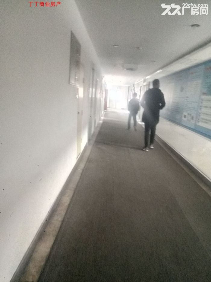 高新创业大道4500独栋工业科研办公出租精装修便宜出租-图3