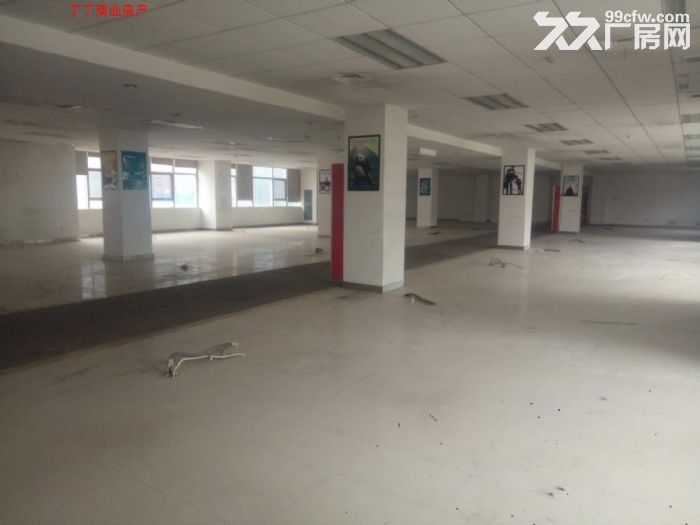 高新创业大道4500独栋工业科研办公出租精装修便宜出租-图4