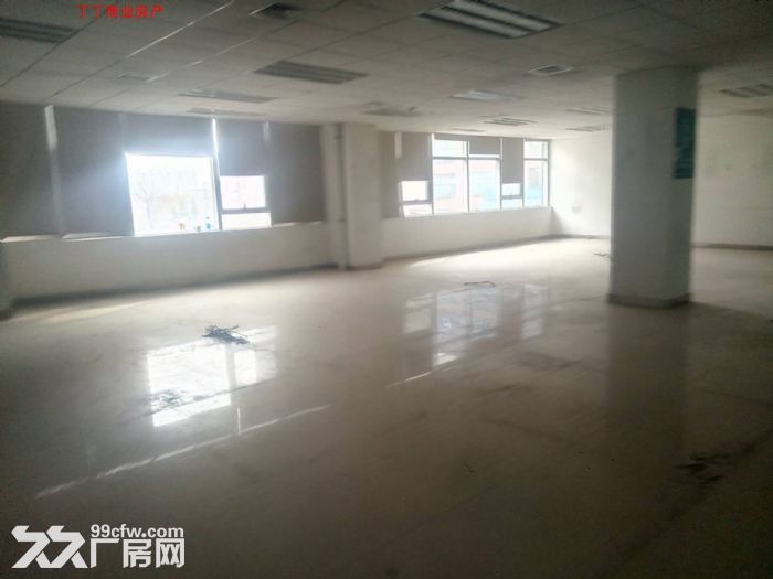 高新创业大道4500独栋工业科研办公出租精装修便宜出租-图2