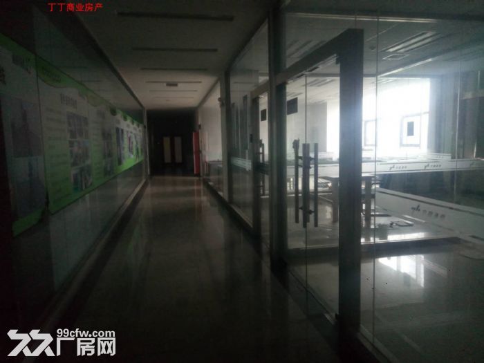 高新创业大道4500独栋工业科研办公出租精装修便宜出租-图5