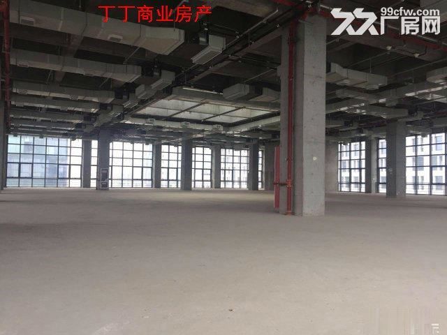 高新独栋5900框架试验检测厂房出租-图1