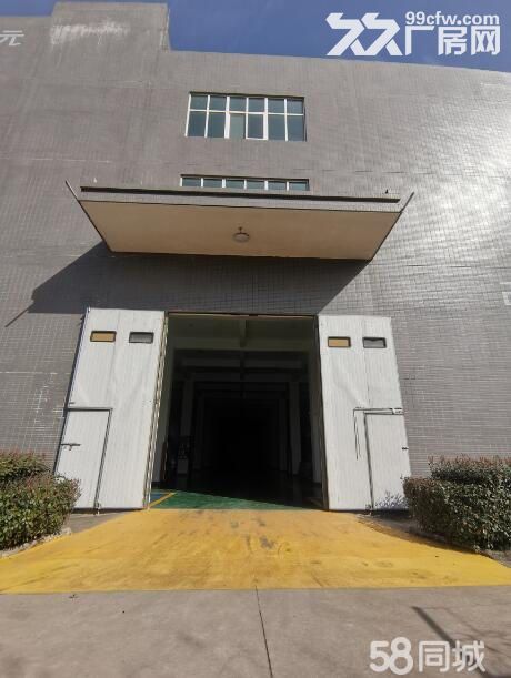 1250平方米二层工业标准厂房、库房出租-图1