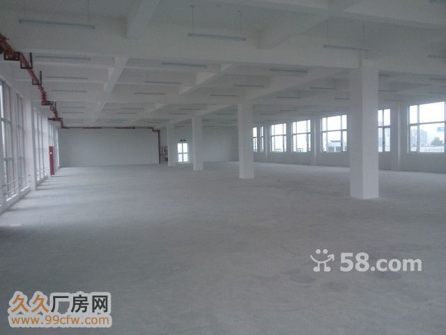 高新管委会旁  1580㎡ 整-图1