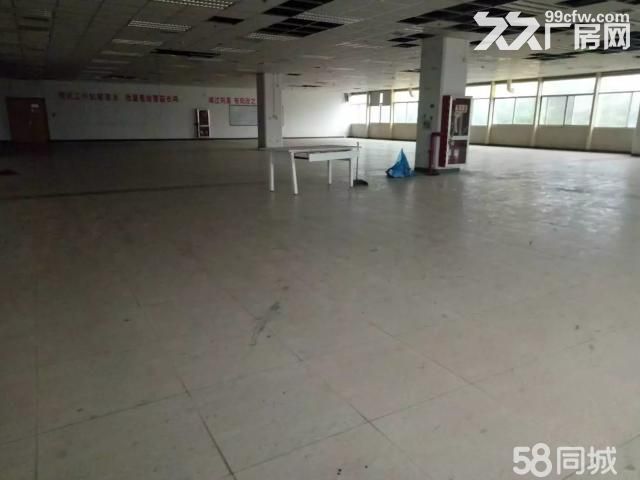 唐延路南段三层标准厂房2300平米招租便宜出租含税价-图7