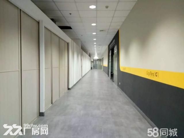 唐延路南段三层标准厂房2300平米招租便宜出租含税价-图4