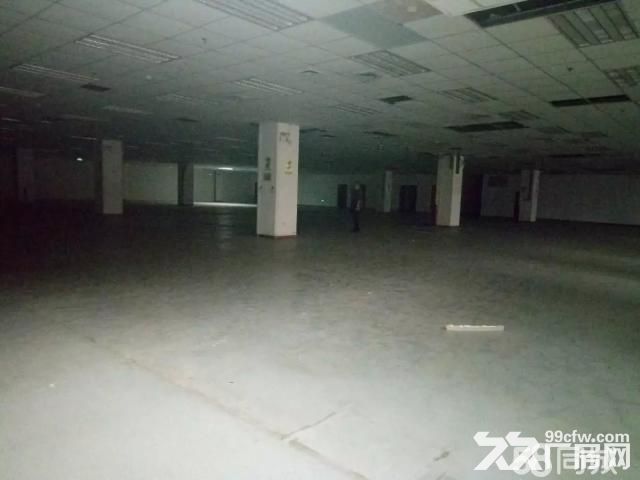 唐延路南段三层标准厂房2300平米招租便宜出租含税价-图6