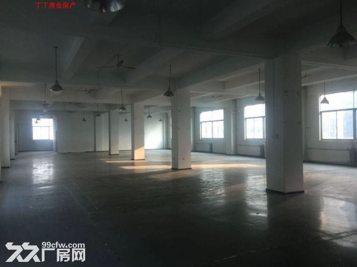 出租高新区多套大平层 可分租各楼层都有-图6