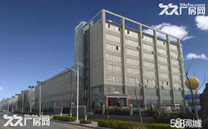 超标准、大跨度框架厂房招租-图2