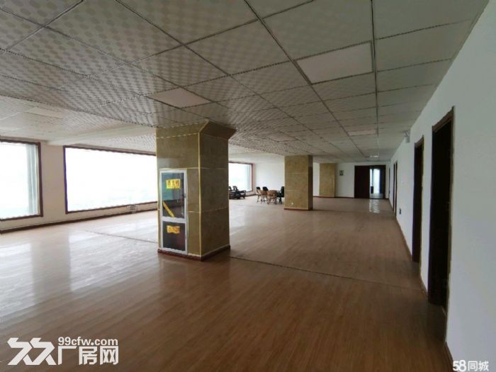 高标准框架式大跨度厂房出租-图1