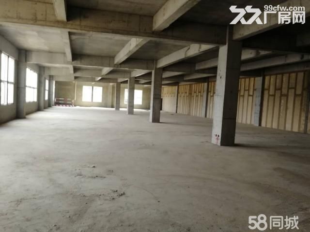 正规工业园区厂房 独栋 可做生产办公研发 面积可细分有产权-图2
