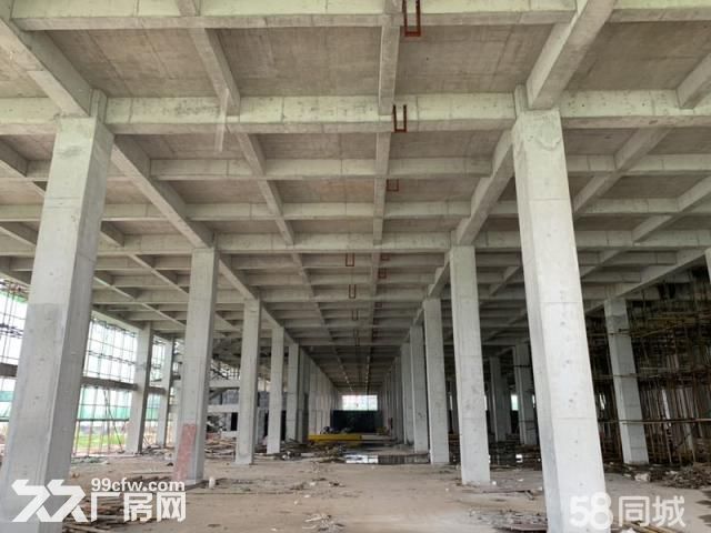 正规工业园区厂房 独栋 可做生产办公研发 面积可细分有产权-图3