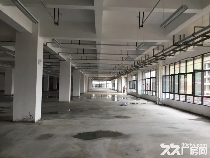 单层多层工业厂房出租出售-图2