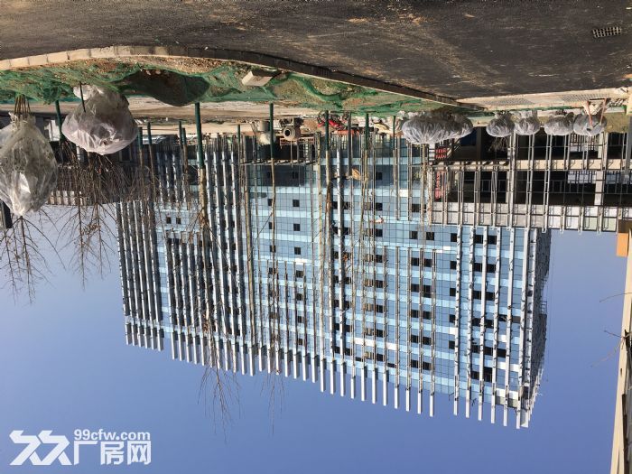 单层多层工业厂房出租出售-图7