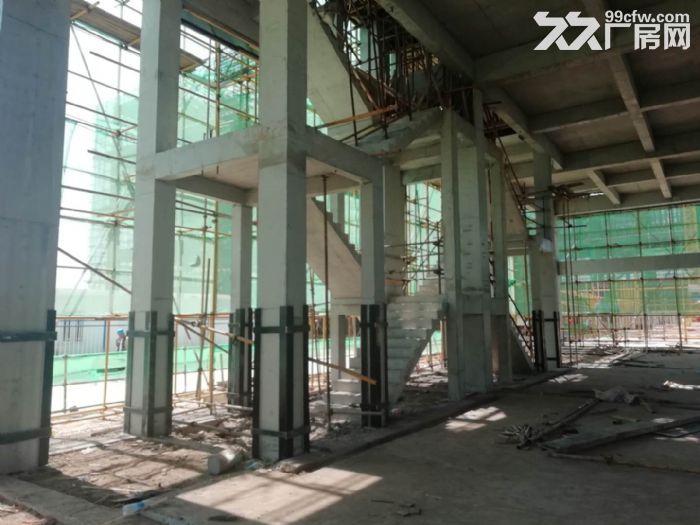 独栋，框架厂房，可按揭，享3免2减半退税政策-图1