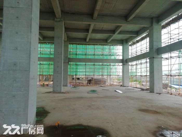 独栋，框架厂房，可按揭，享3免2减半退税政策-图2