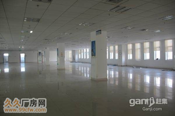 高新 锦业路1300㎡  优质-图1
