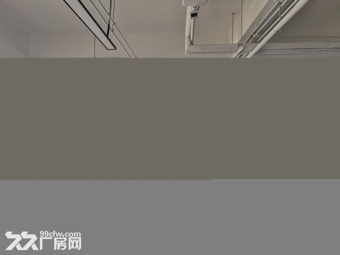 （园区直租）研发、轻型组装、桌面生产190平米-图6