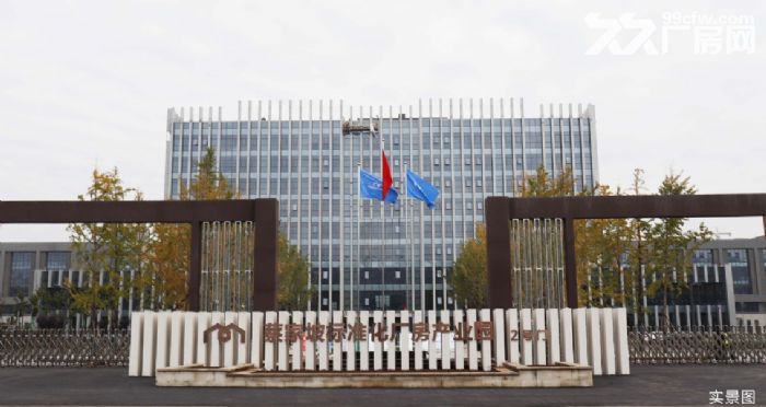 蔡家坡百万米标准化厂房可租可售-图1