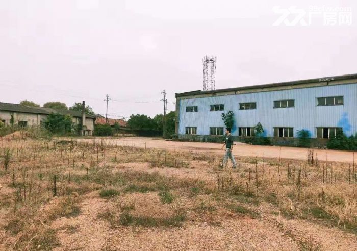 岳塘独栋仓库600平米，空坪1200平米-图1
