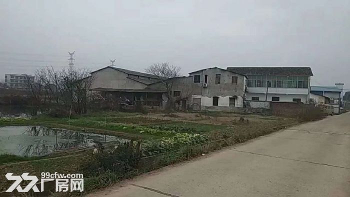 繁白村老屋塘厂房仓库出租-图1