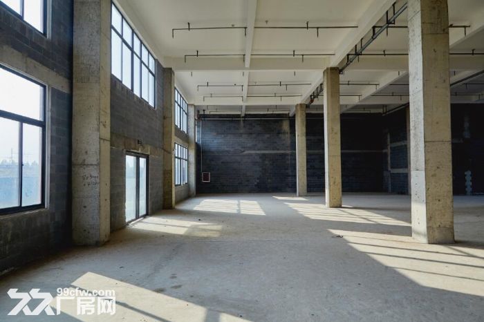 大东区好厂房 可租可售 大产权办环评 一条龙服务 让业主放心-图1