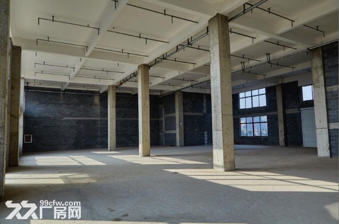 大东区好厂房 可租可售 大产权办环评 一条龙服务 让业主放心-图2