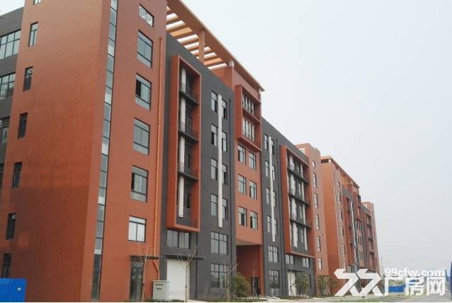 大东区好厂房 可租可售 大产权办环评 一条龙服务 让业主放心-图3