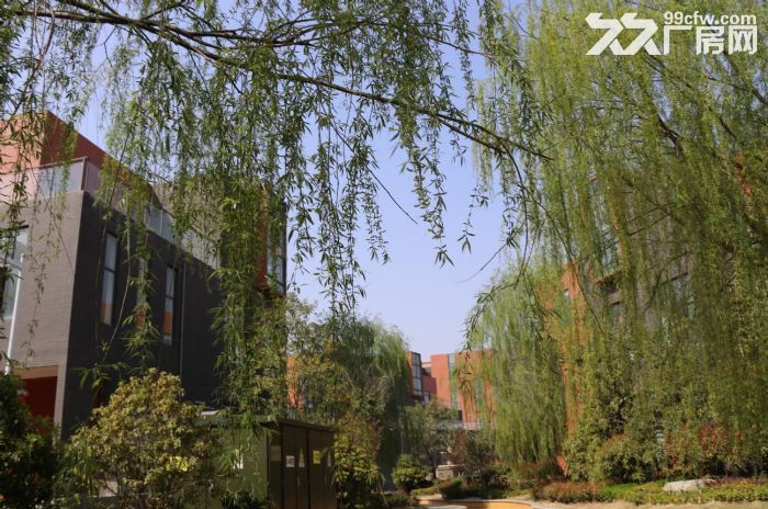 别墅级企业独栋 标准化厂房 大产权办环评 不满意就退款-图3