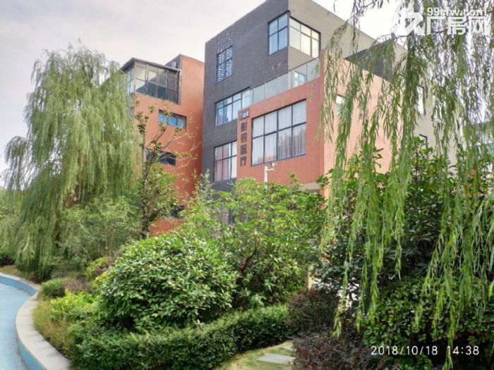 高端别墅级别企业独栋 大产权可办环评 绝佳位置升值空间超大-图2