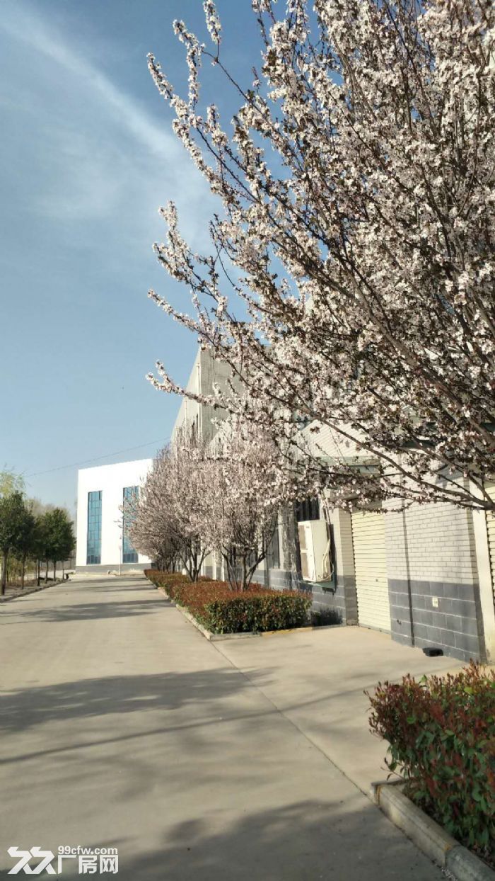 原阳食品包装园区6700平，可做塑料包装，可办环评，-图3