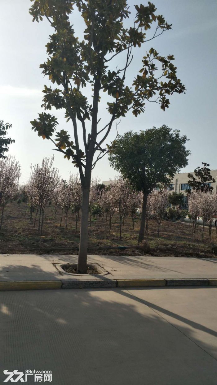 原阳食品包装园区6700平，可做塑料包装，可办环评，-图5