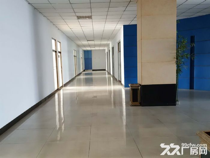 现有厂房一栋1000平米 带院子-图3