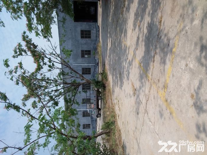 厂房出租，一天1毛5，面积不限，整租优惠，送免费空地使用。-图4