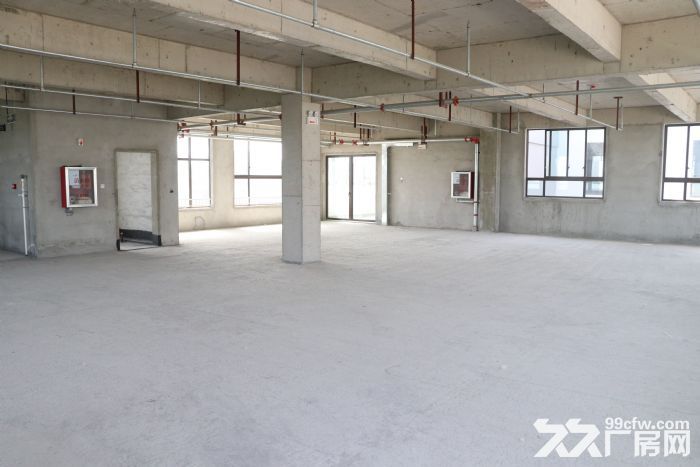 （厂房仓库）3吨货电梯，1吨楼板承重，6.5层高厂房，物流旁-图2