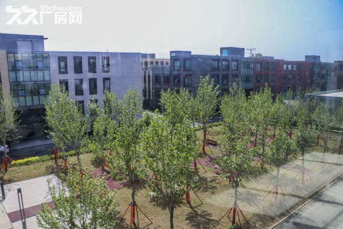 （厂房仓库）3吨货电梯，1吨楼板承重，6.5层高厂房，物流旁-图7