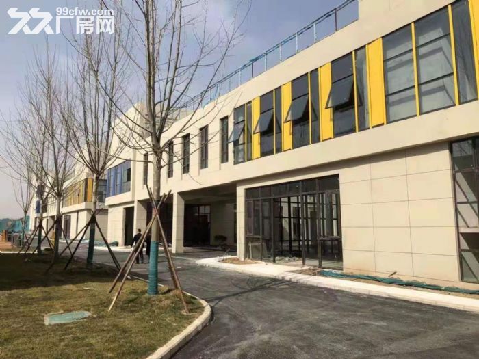 产业园区厂房出租 500起租面积灵活 可办环评 有餐厅-图4