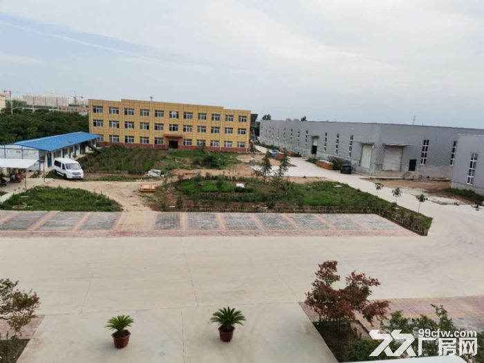 地基已做好厂房对外出租，给钱就租了-图1
