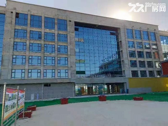 秦汉新城优质厂房出售10000平可自由分割-图2