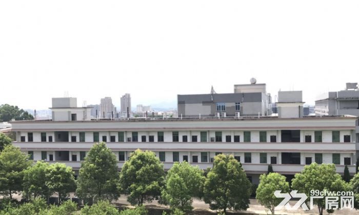 长泰兴泰工业区独院厂房部分招租-图3