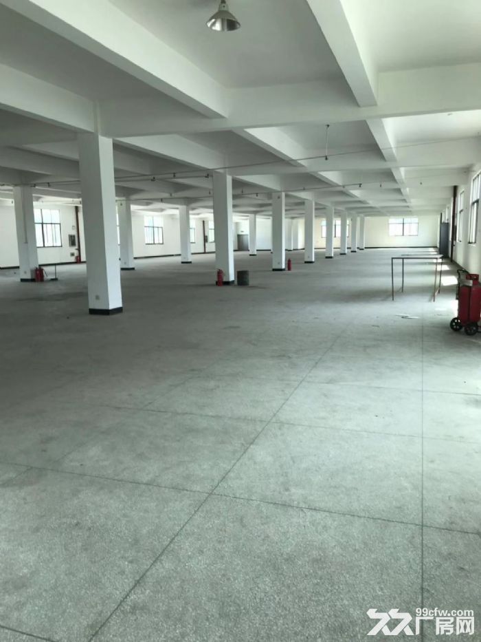 长泰兴泰工业区独院厂房部分招租-图4