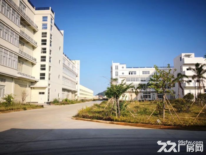 漳州全新标准厂房及办公楼出租-图3
