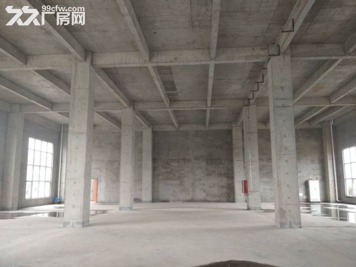 600−5000平独立产权标准厂房租售-图1