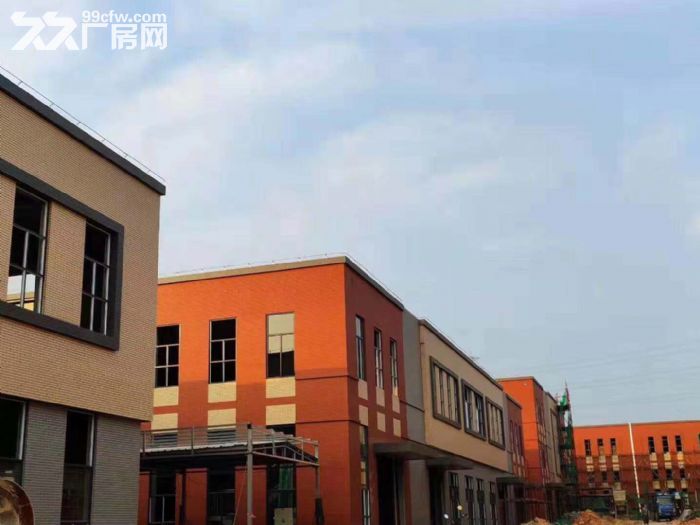 花园式独立标准厂房出售-图1