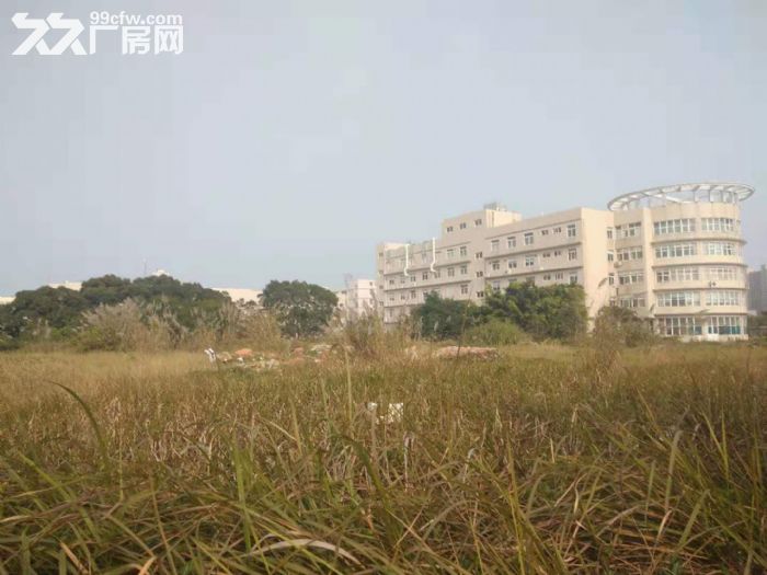 漳州港独门独院标准厂房26000平方招租-图1
