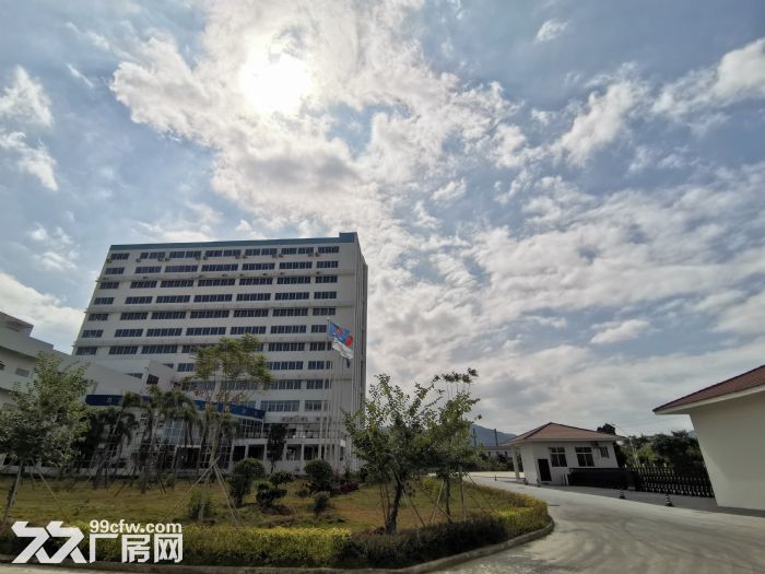 【漳州港】单一层大型钢结构厂房-图2